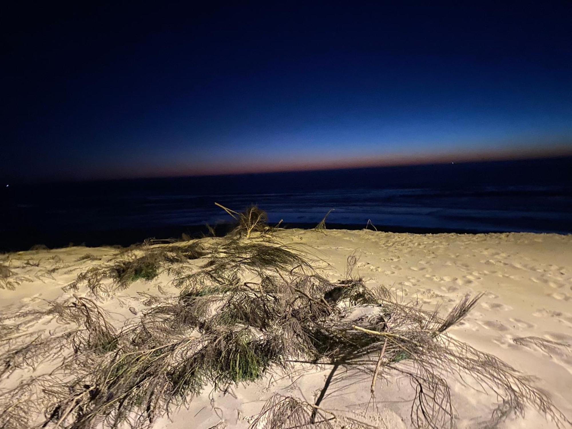La Cabane De Biscarrosse Pokoj fotografie
